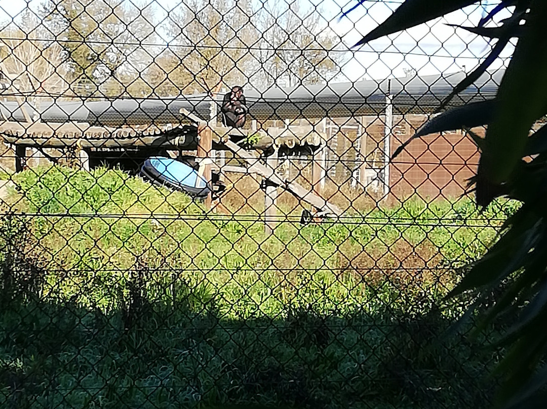 Fundació Mona, Centre de Recuperacio de Primats景点图片