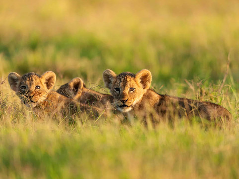 Destinations Kenya Safari-内罗毕必去景点