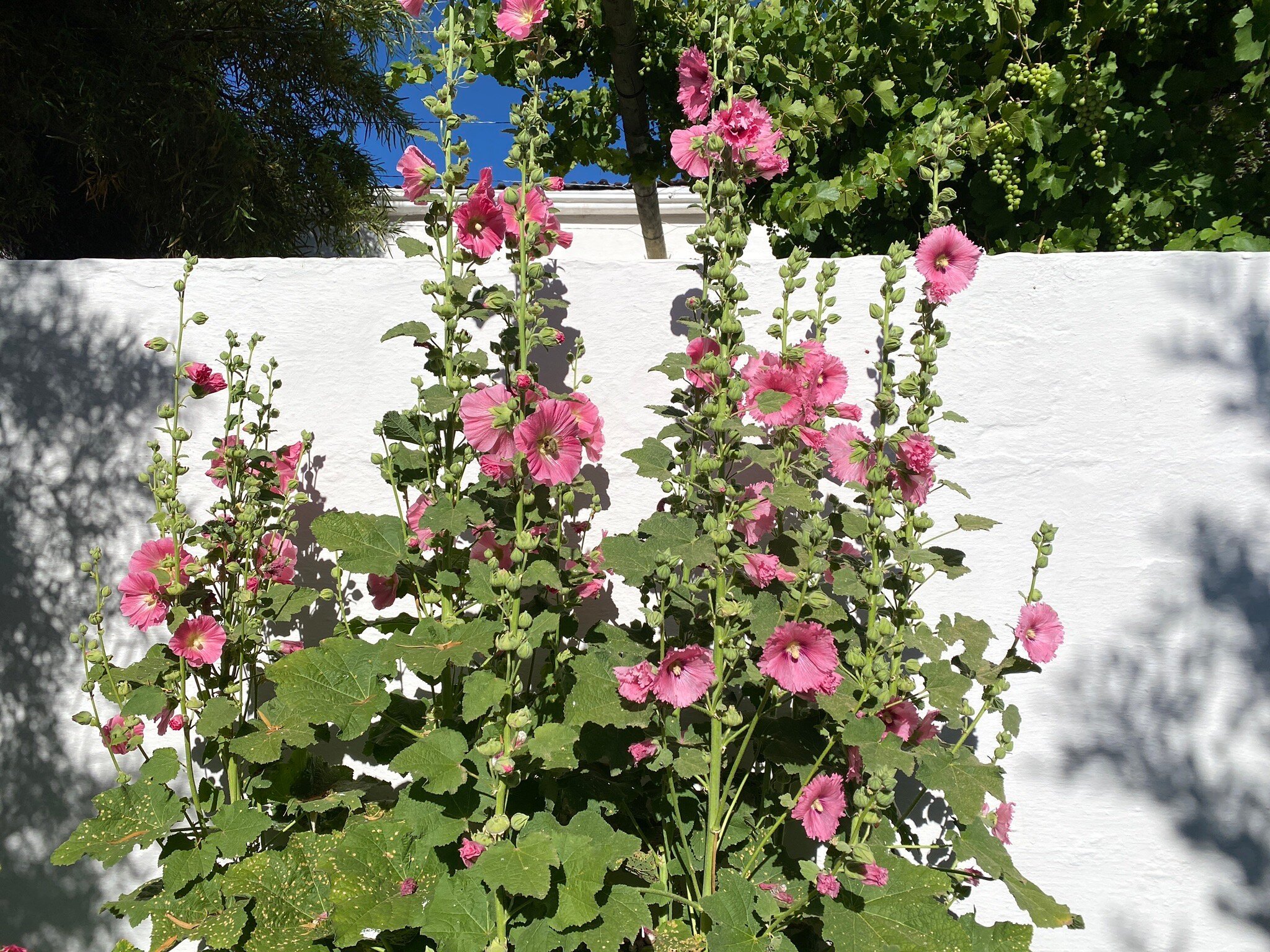 The Richmond Rooms-官方