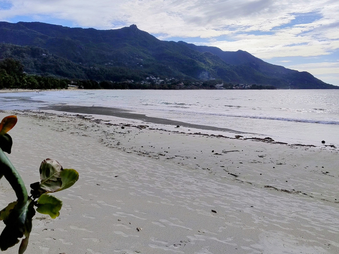 Panorama Guesthouse Beau Vallon主图