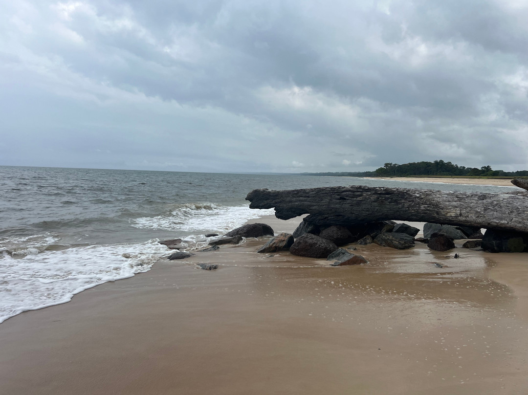 Gabon Highlights Tourism-Lope Wildlife Reserve必去景点