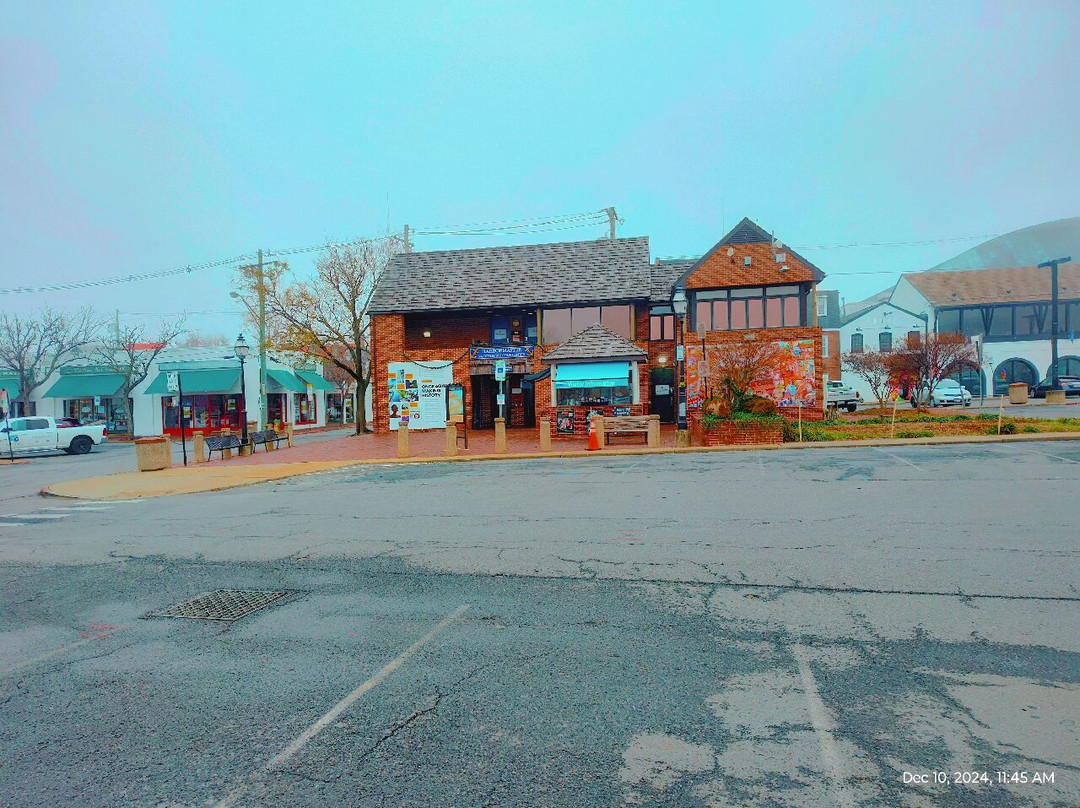 Ego Alley-安纳波利斯必去景点