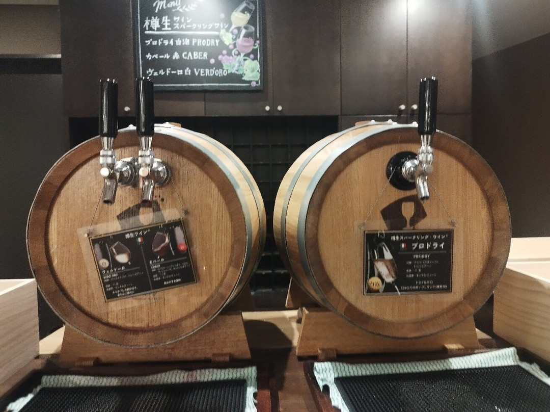 Kawane Onsen Hotel主图