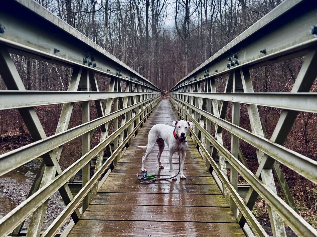Brandywine Falls-Sagamore Hills必去景点
