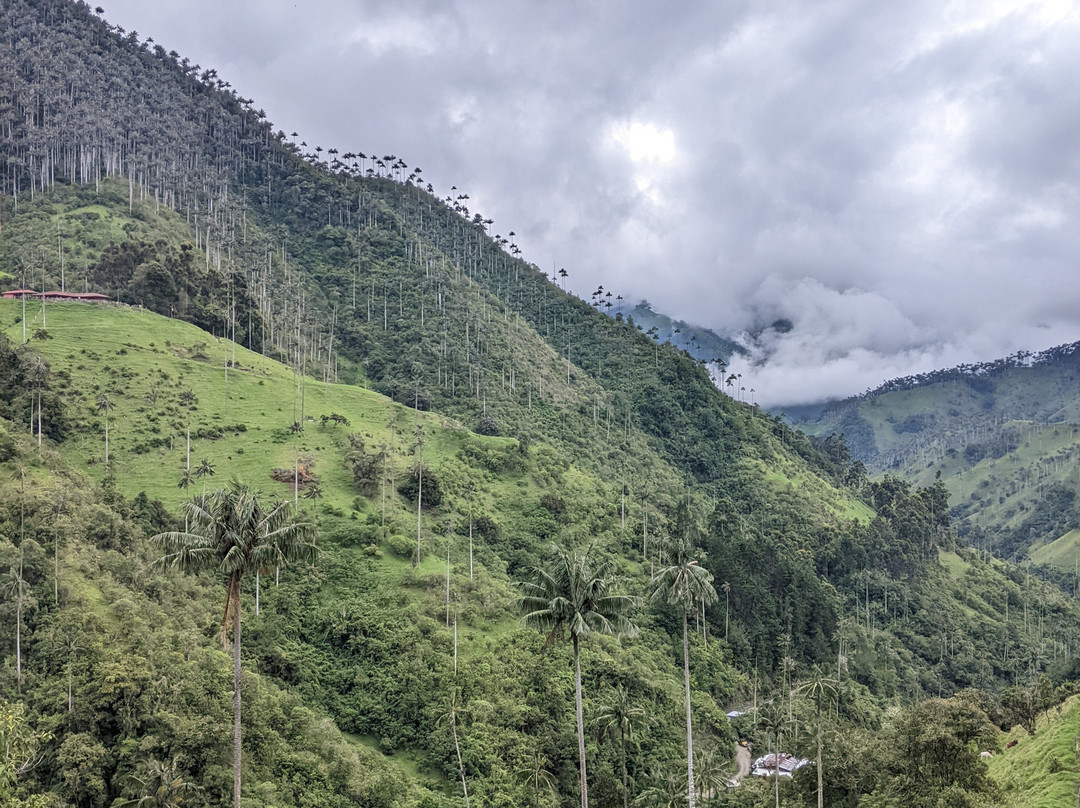 Rural Adventure-Filandia必去景点