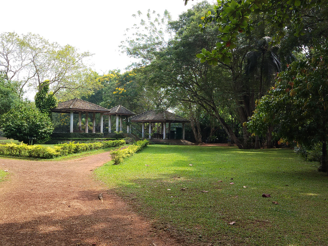 Henerathgoda Botanical Garden景点图片