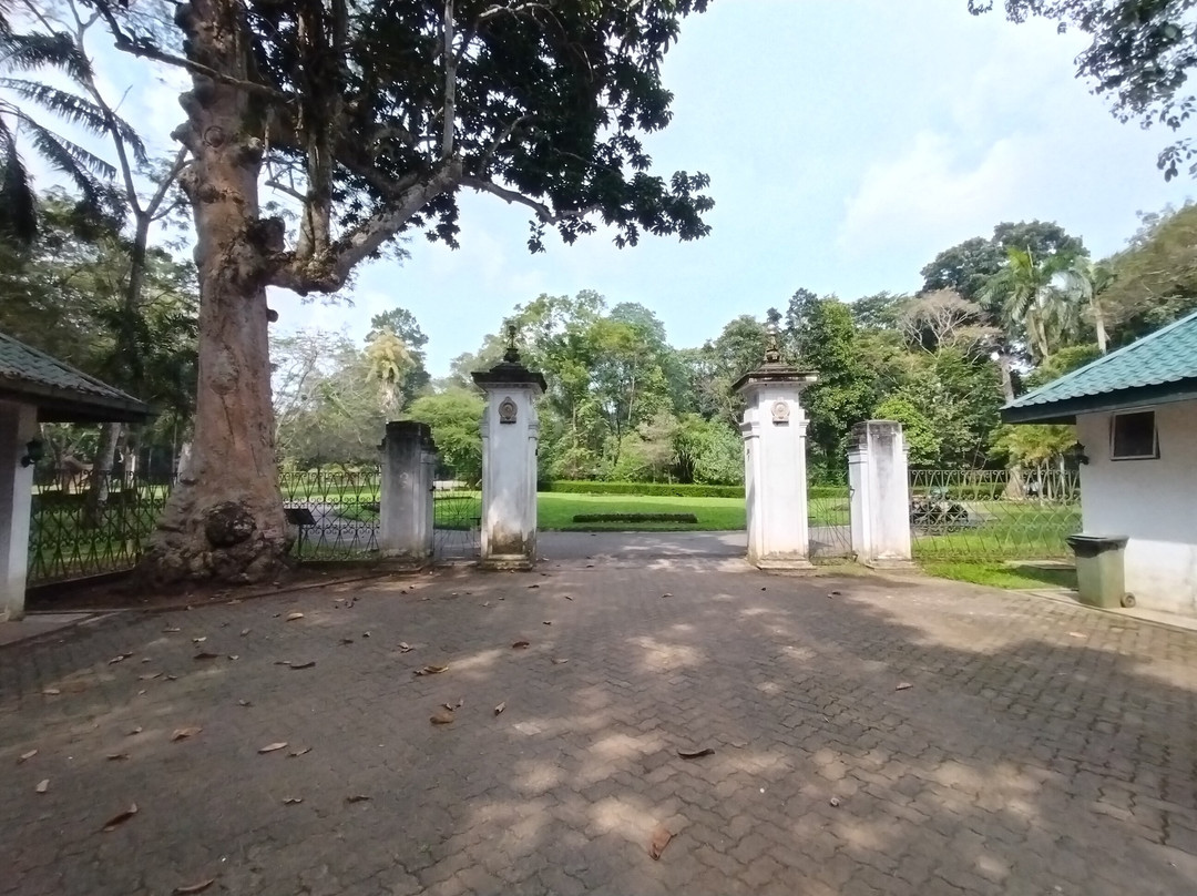 Henerathgoda Botanical Garden景点图片