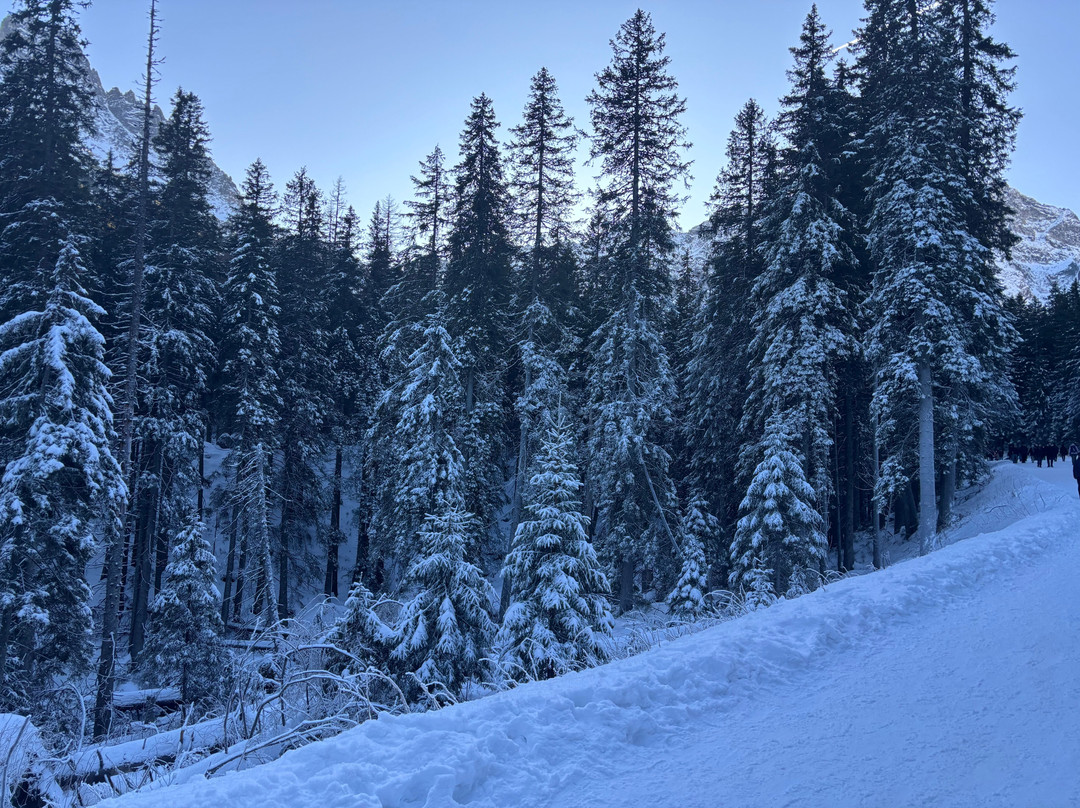 SpecTrips - Transport & Tourism-克拉科夫必去景点