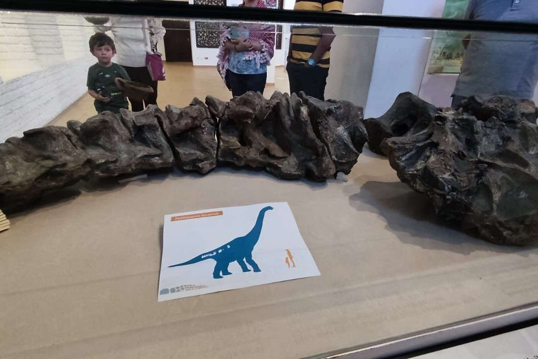 Museo El Fosil-莱瓦镇必去景点