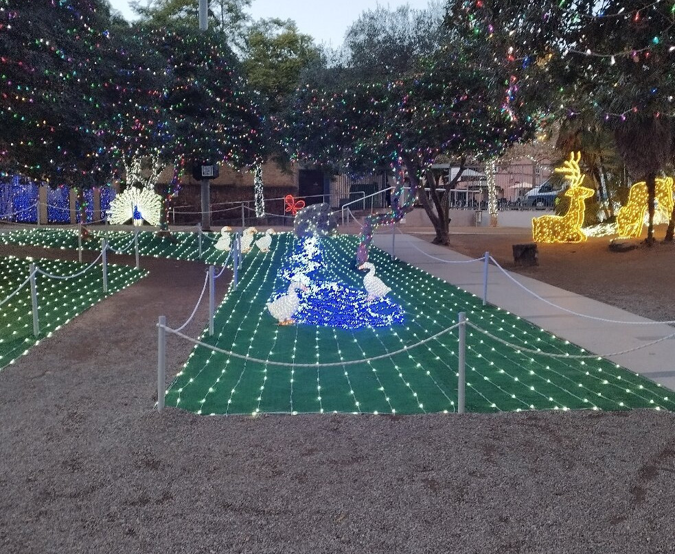 Bosc Encantat-加瓦必去景点