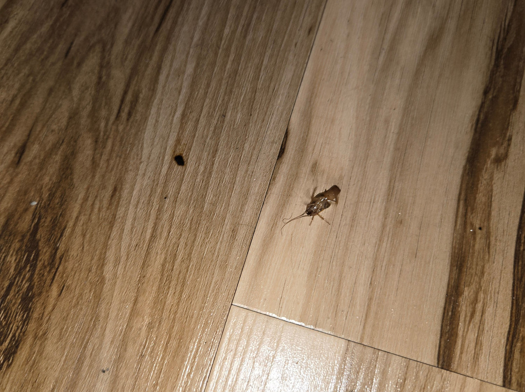 温彻斯特红顶客栈主图