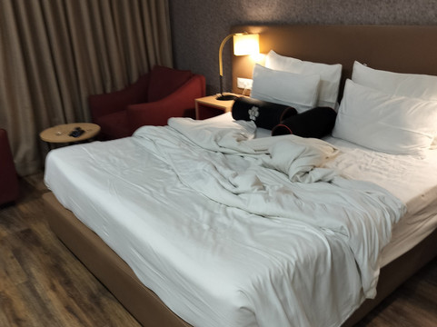 Mastiff Hotel Ankleshwar