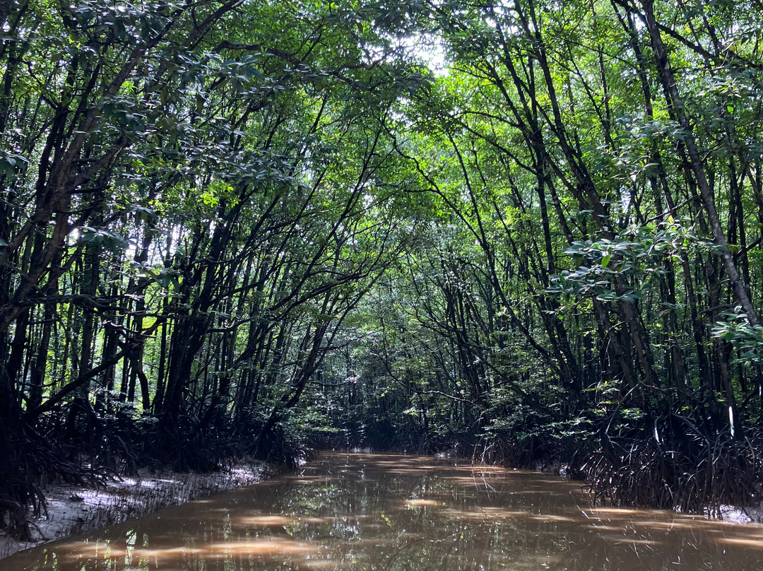 Mangrove Center Graha indah-巴厘巴板必去景点