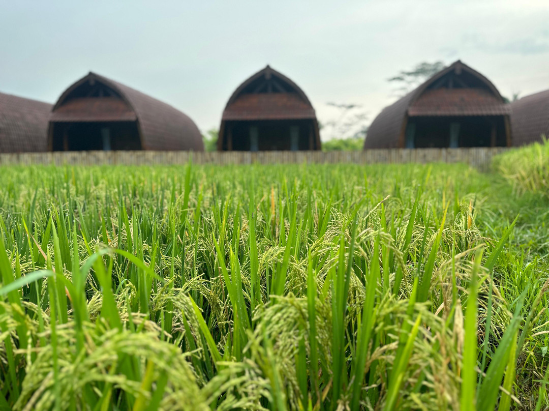 Villa Lumbung Sidemen