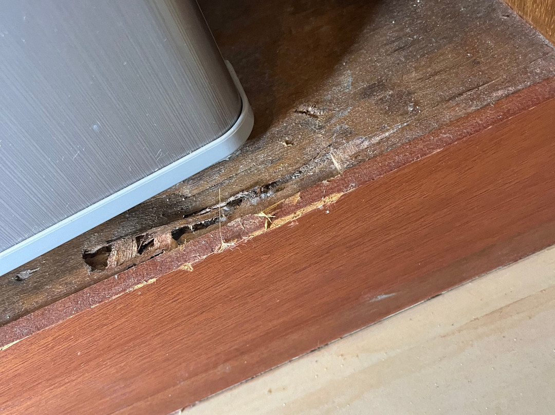 Mac's Bay Resort主图