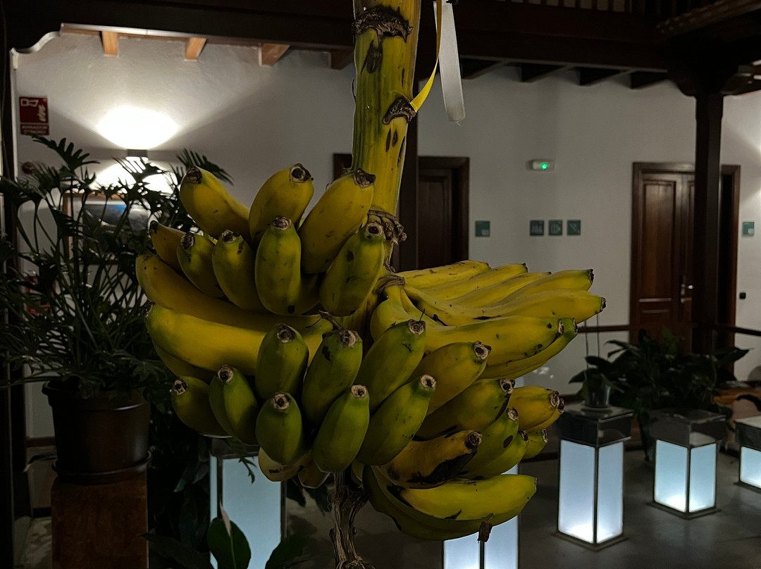 Hotel Escuela Rural Casa Los Herrera主图