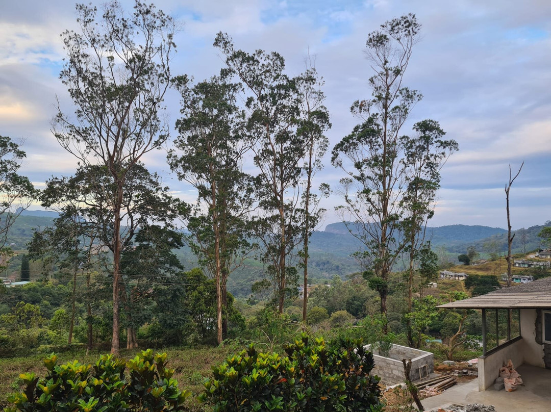 Star Tea Estate Bungalow主图