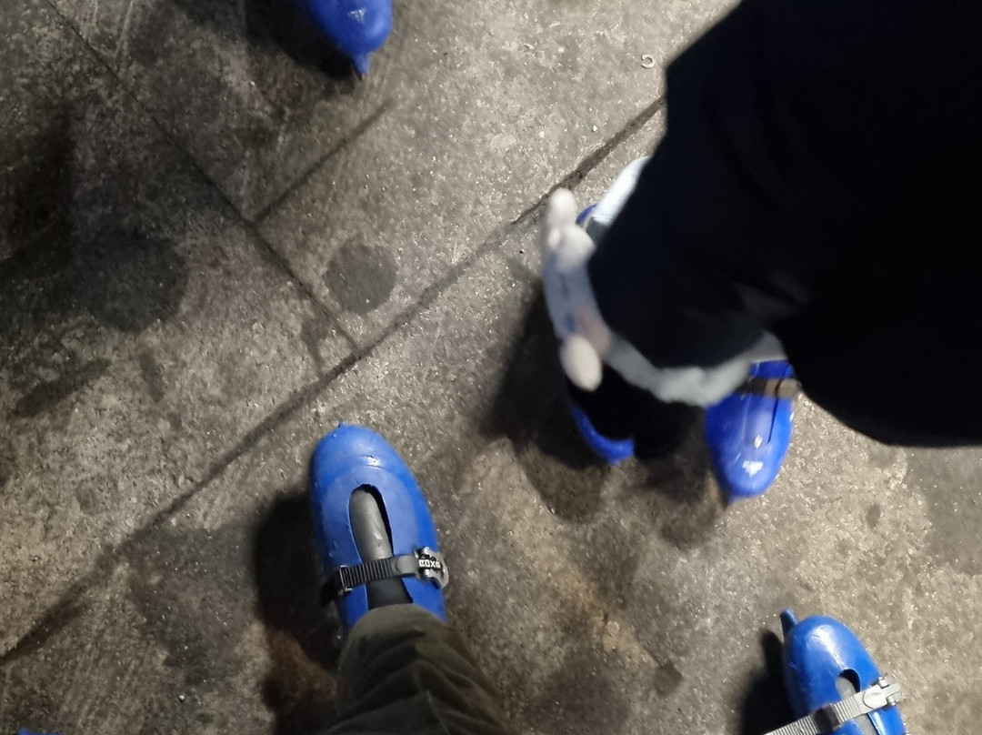 Planet Ice Altrincham (Silver Blades)景点图片
