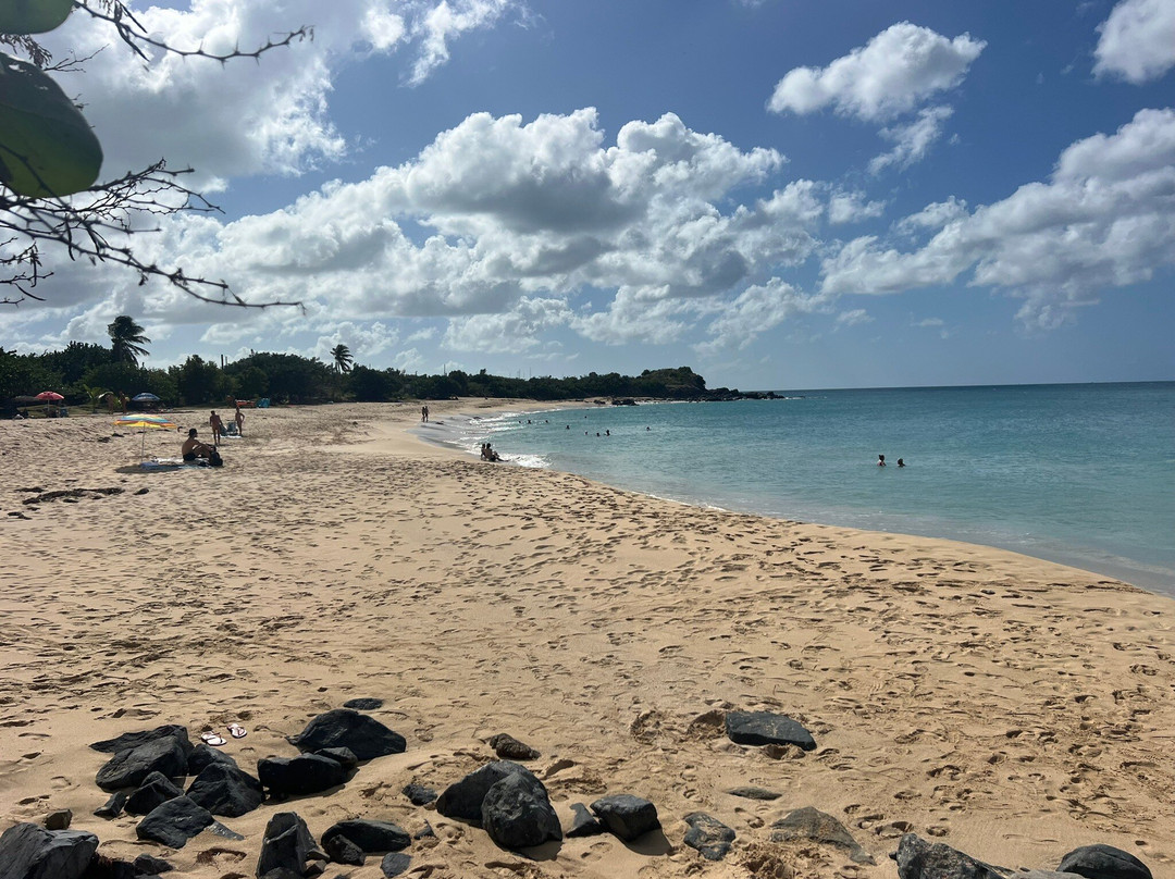 Happy Bay Beach景点图片