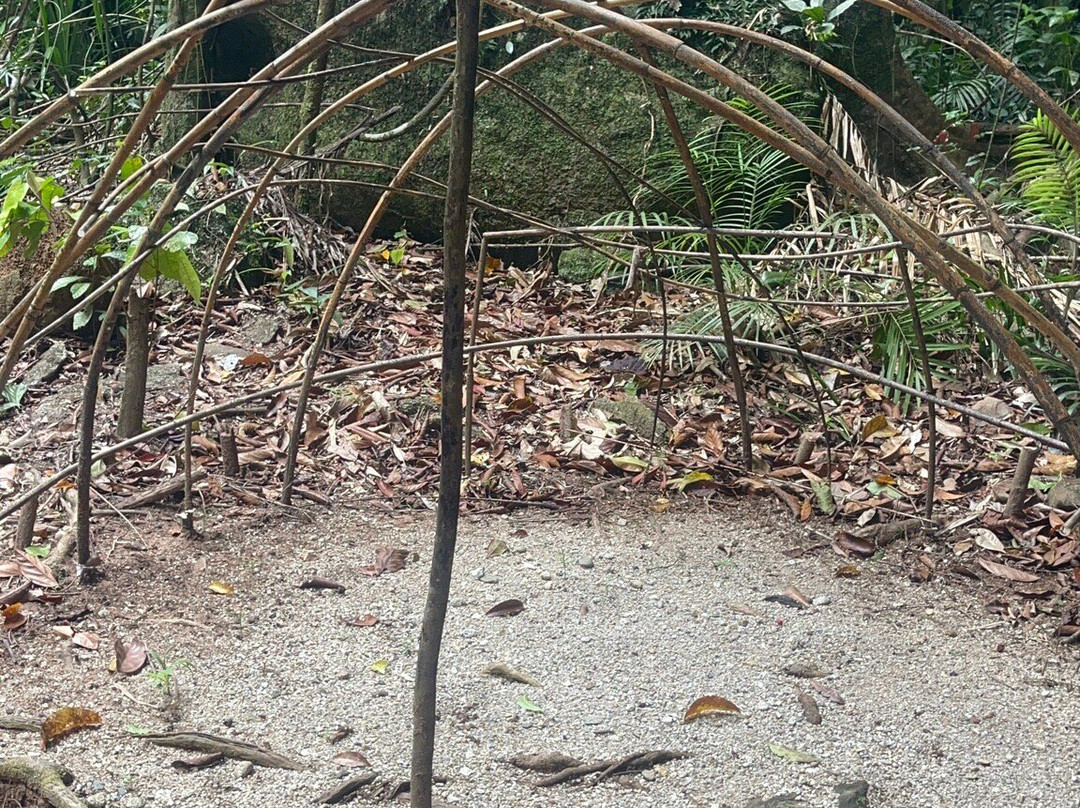 Mossman Gorge Centre Tours-Daintree必去景点