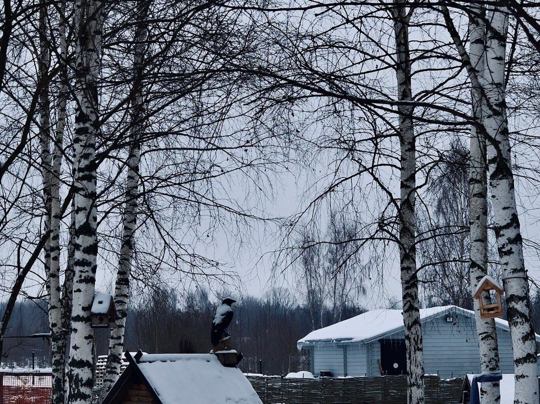 Tsypark-Nikolskoye必去景点