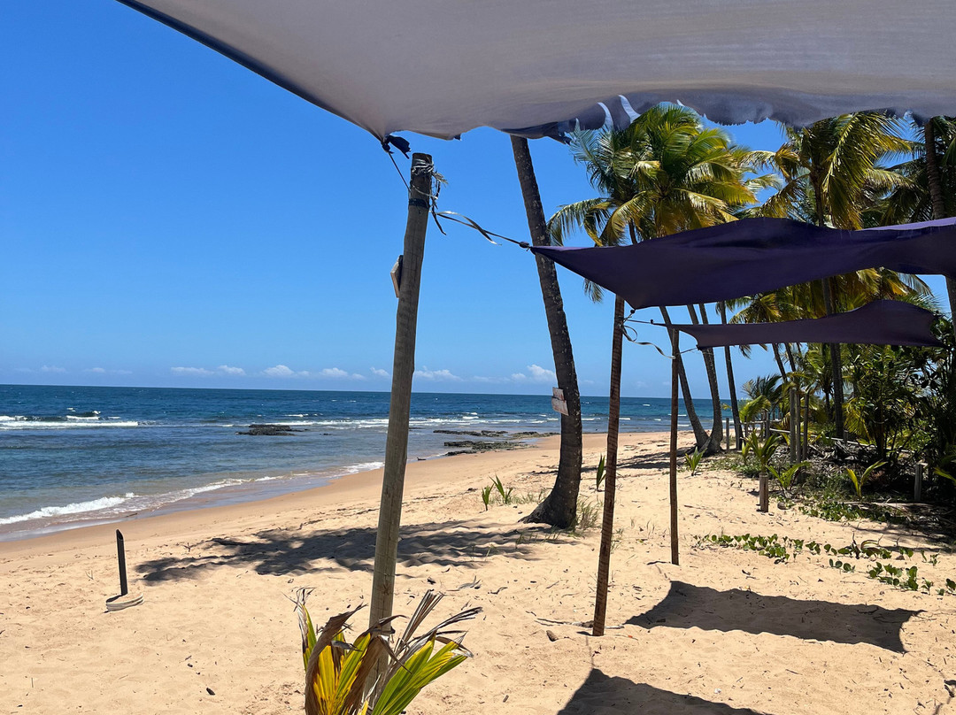 Bombaca Beach-Barra Grande必去景点