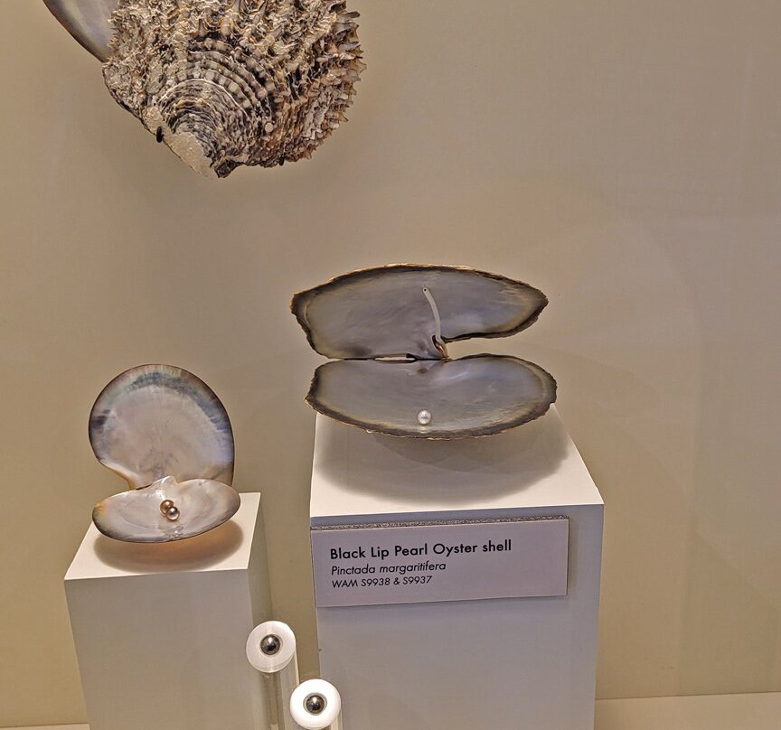 Museum Of Geraldton-杰拉尔顿必去景点