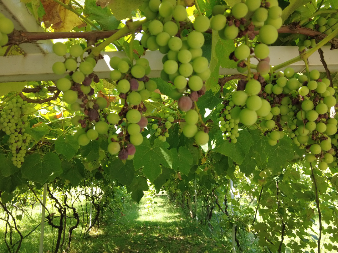 Homestead Albania-Bajze必去景点