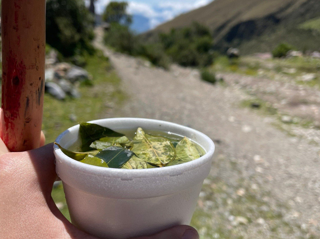 Peru Green Travel景点图片