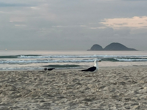 德尔芬冲浪酒店主图