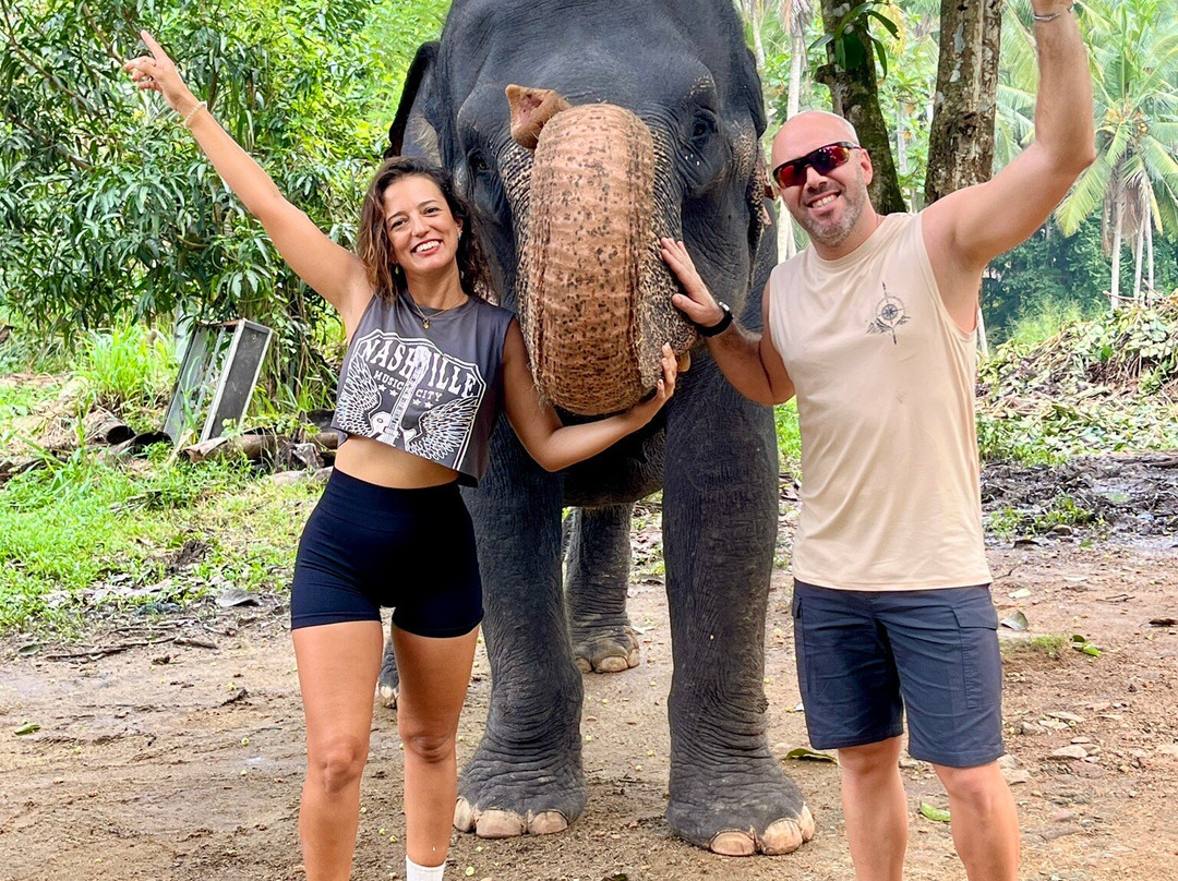 Blue Elephant Tours景点图片