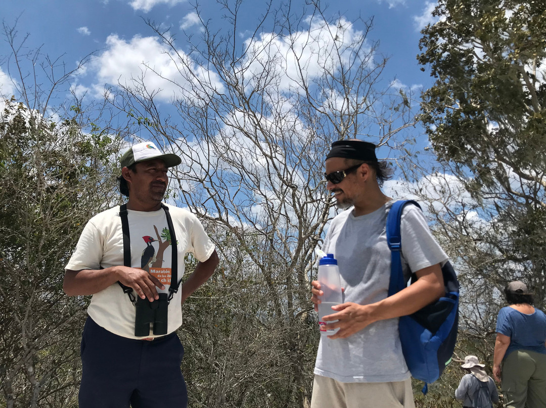 Calakmul Tours By Ezequiel-Xpujil Town必去景点