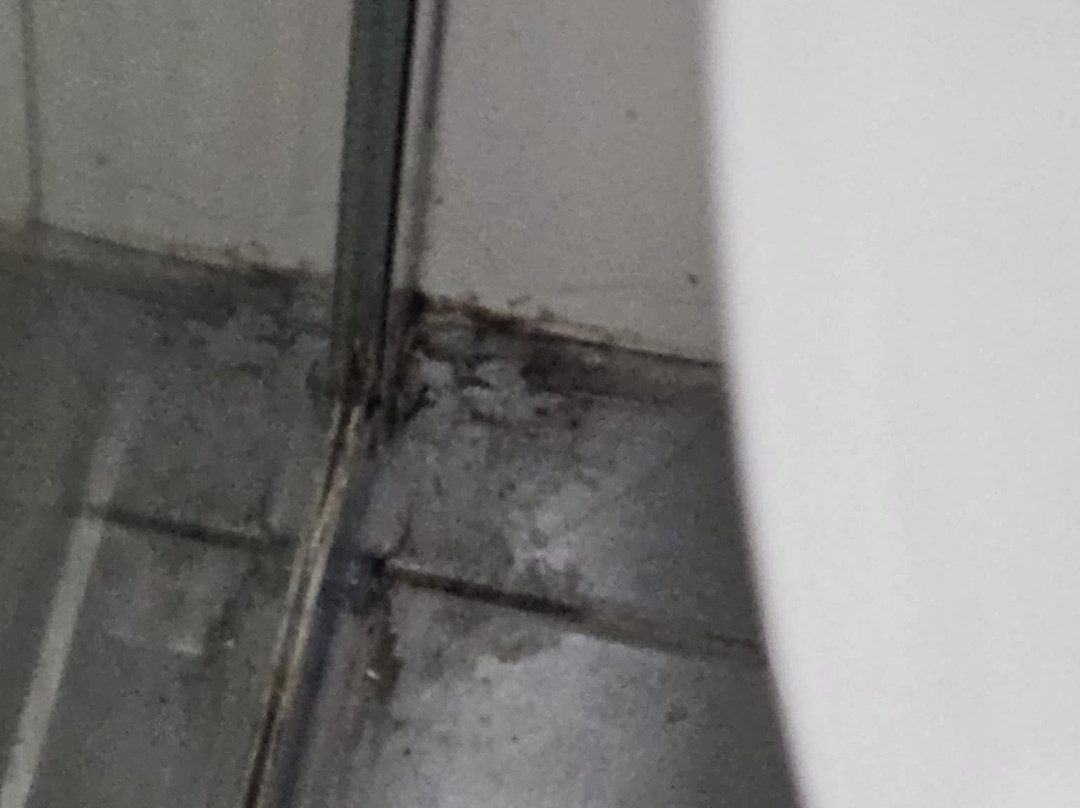 西城汽车旅馆主图