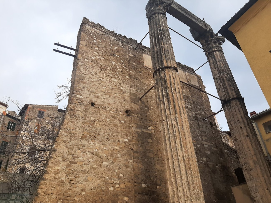 Tempio dei Dioscuri景点图片