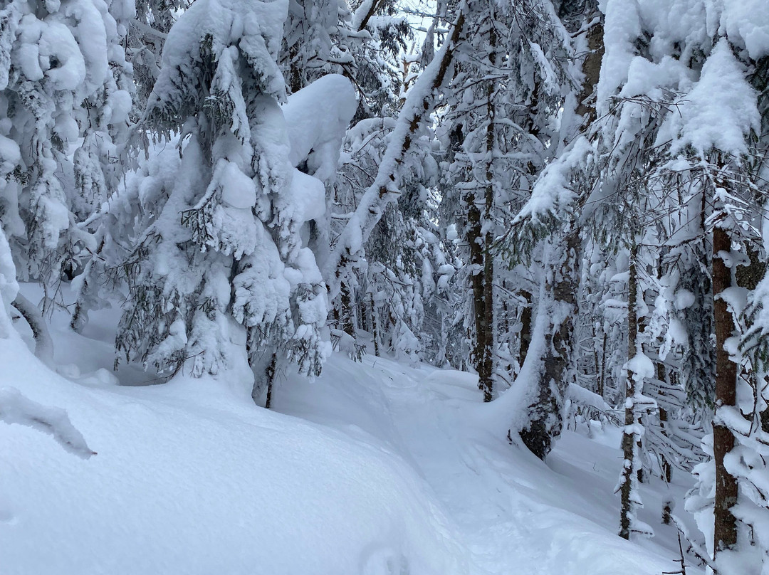 杰斐逊旅馆主图