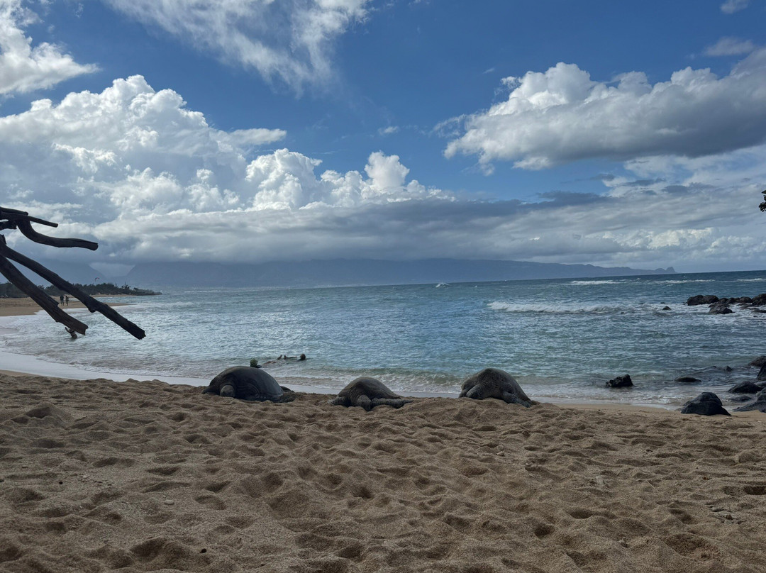 Secret Beach, Paia'a, Maui景点图片