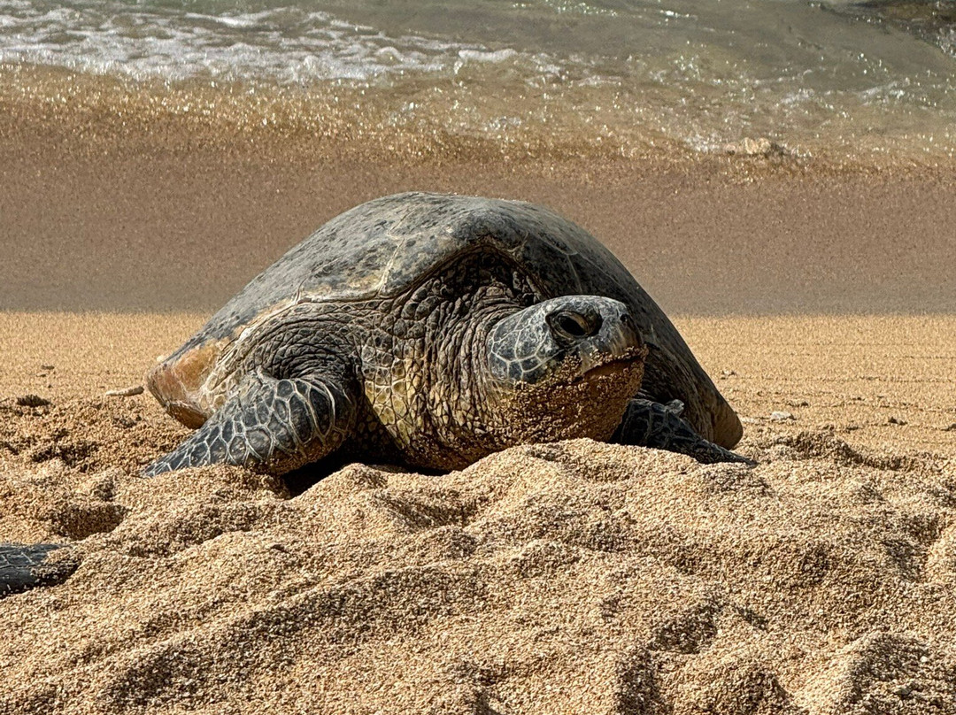 Secret Beach, Paia'a, Maui景点图片