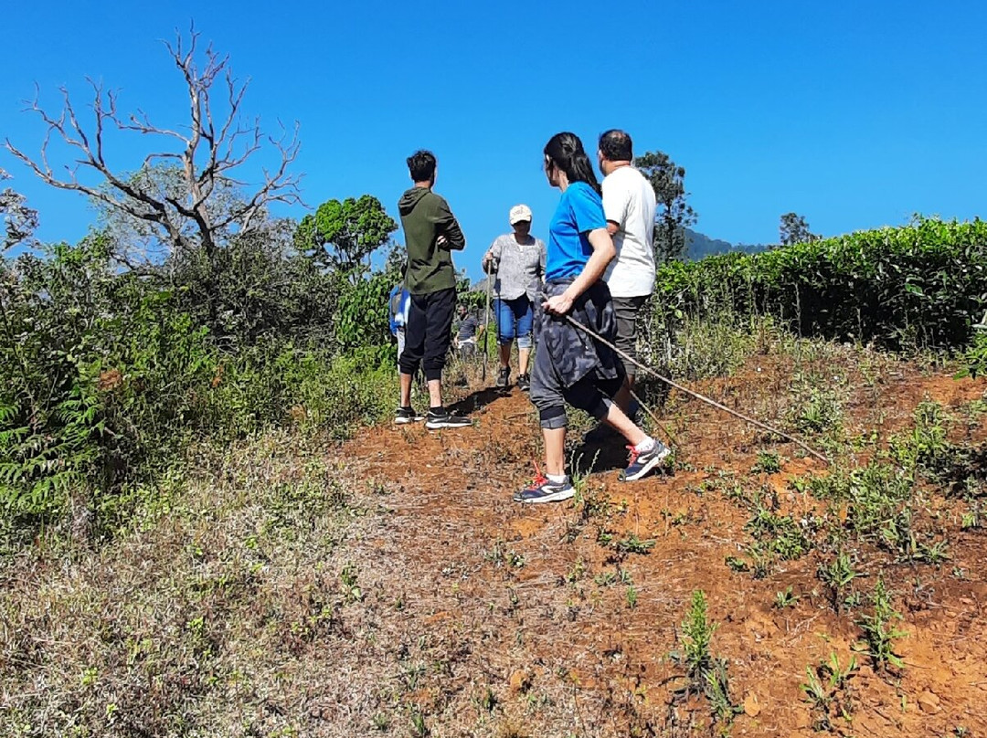 Birdwatching Cherambadi-Cherambadi必去景点