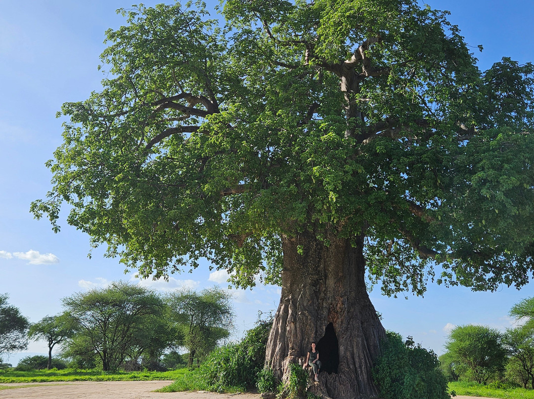 Travel with Deo-Mloka必去景点