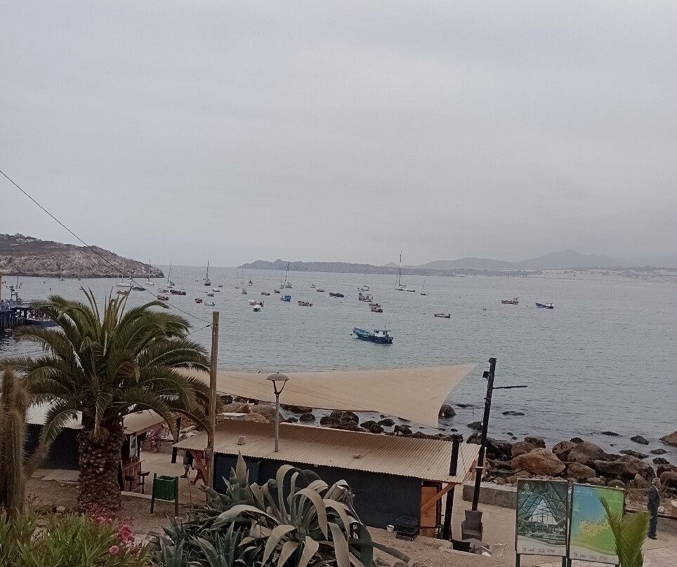 Playa de pichidangui-Pichidangui必去景点