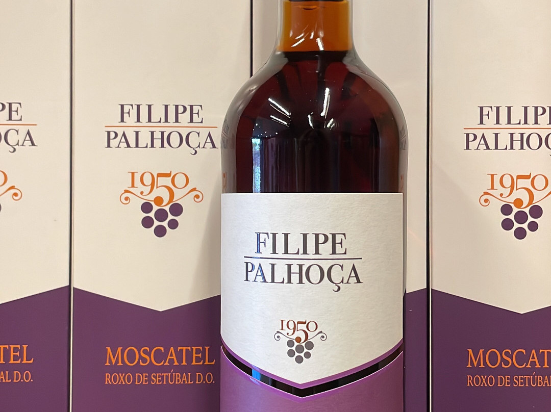 Filipe Palhoca Wines-Palmela必去景点
