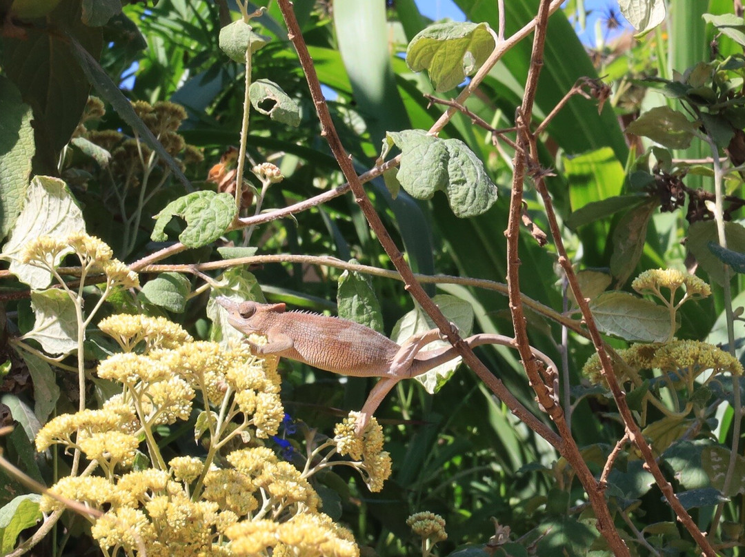 Tanzania Secret Within-坦噶必去景点