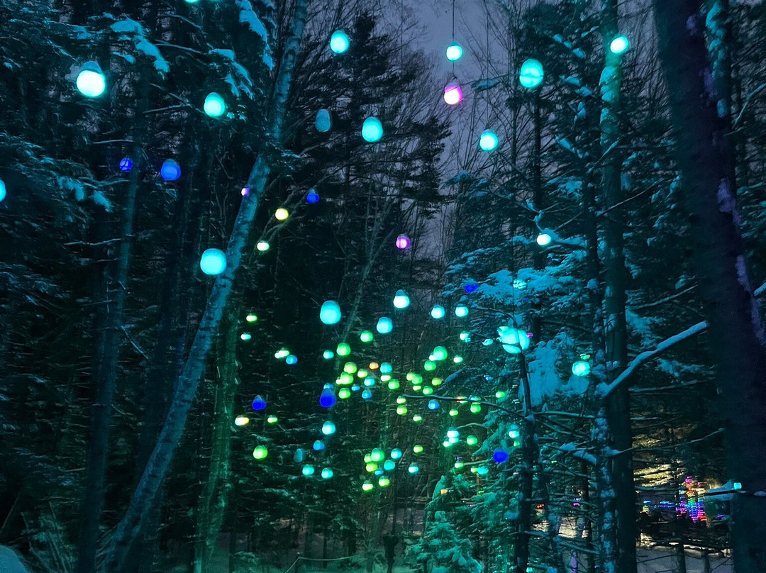 Ice Castles-Woodstock必去景点