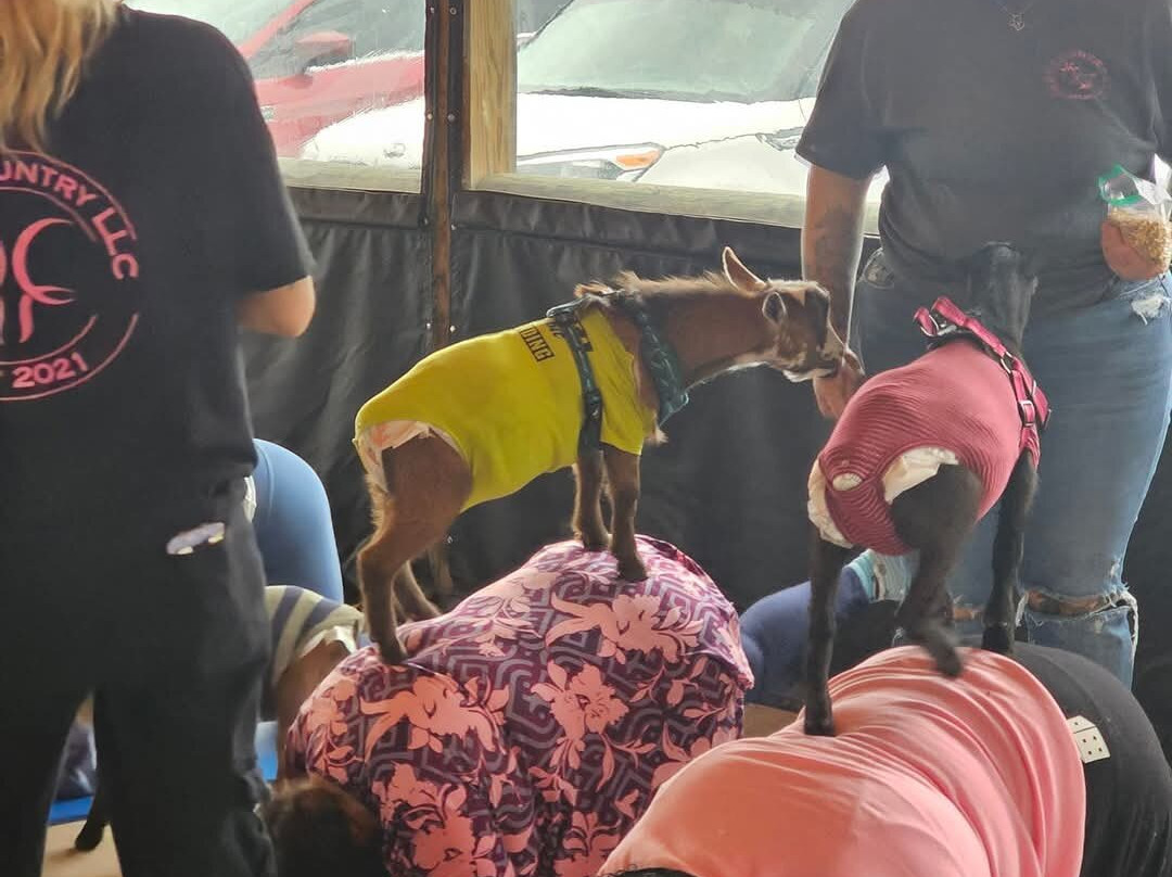 A. R. Winery-Arcanum必去景点