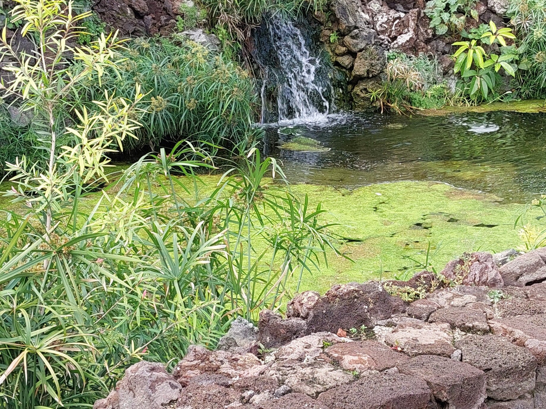 Parque Taoro景点图片