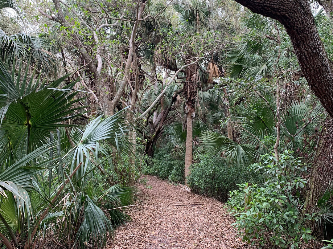 Frenchman's Forest Natural Area-棕榈滩花园必去景点