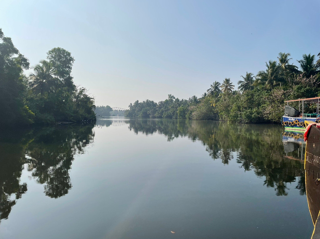 Ayurwakeup Ayurveda & Yoga Retreat主图