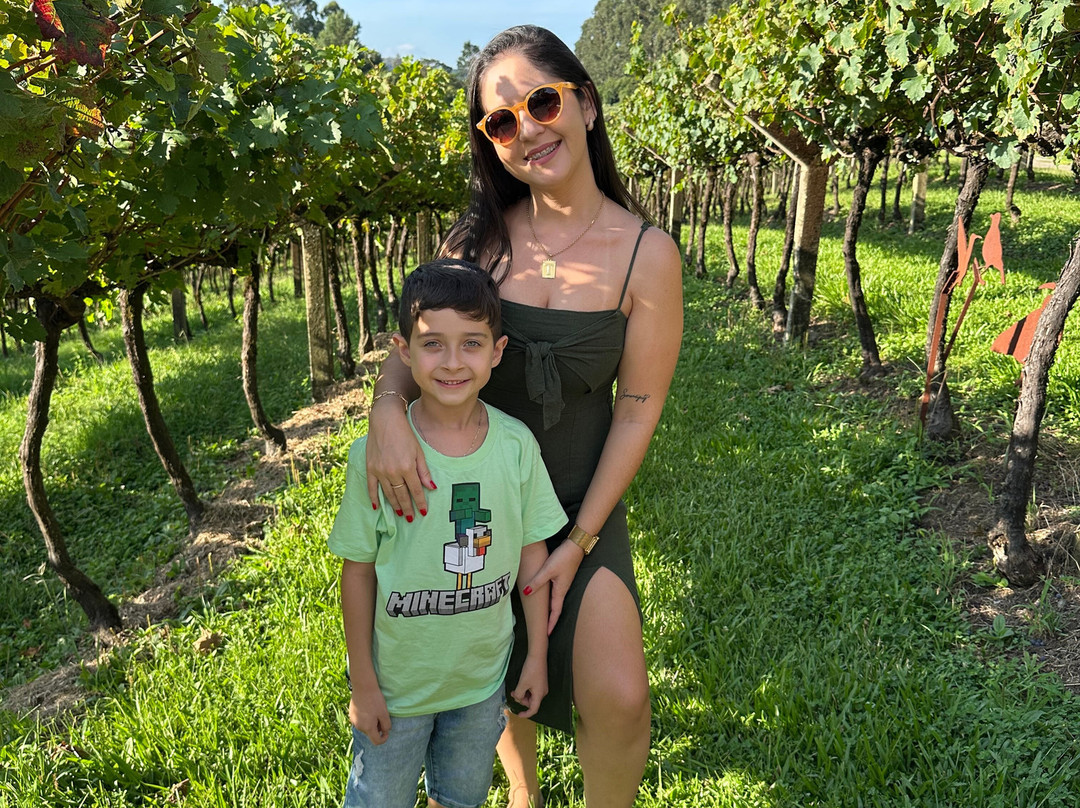 Vinicola Quinta Don Bonifacio-南卡希亚斯必去景点