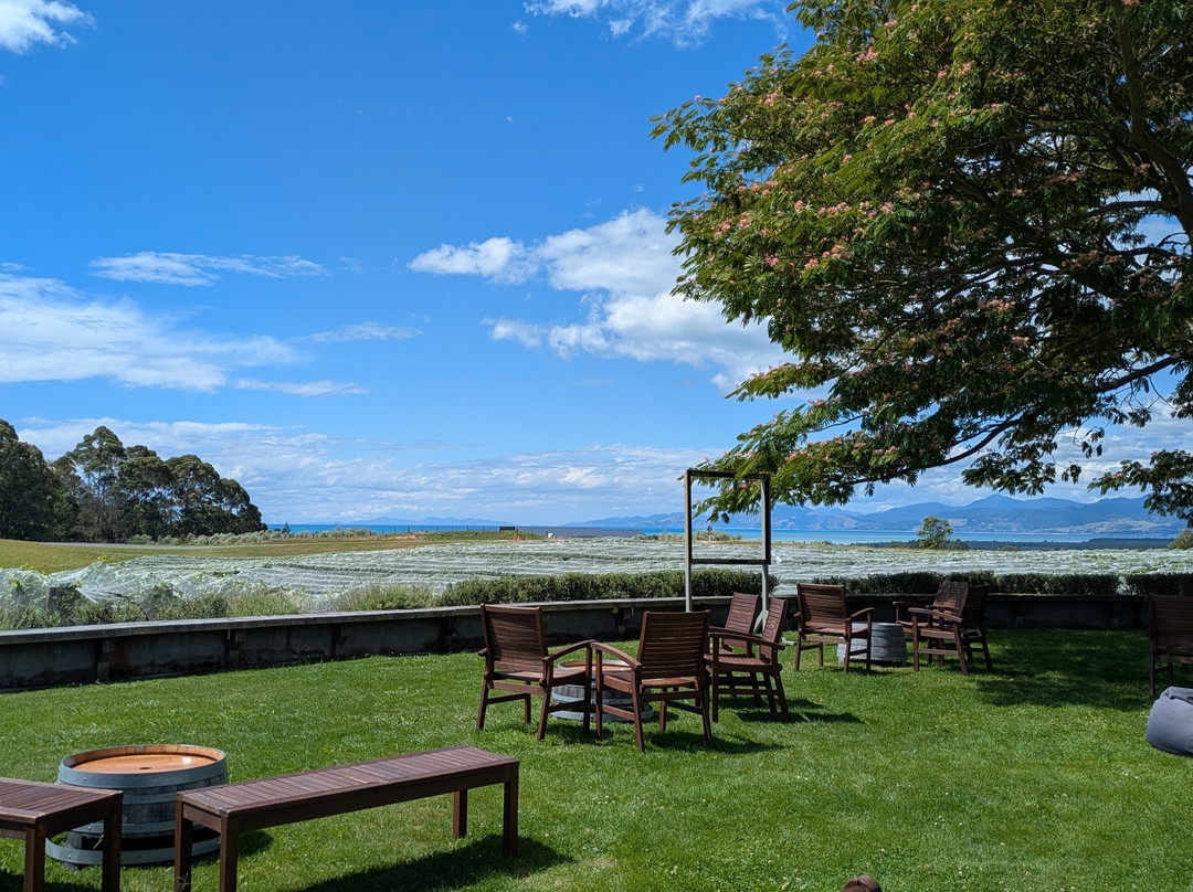 Nelson Tours & Travel - Wine Tours-尼尔森必去景点