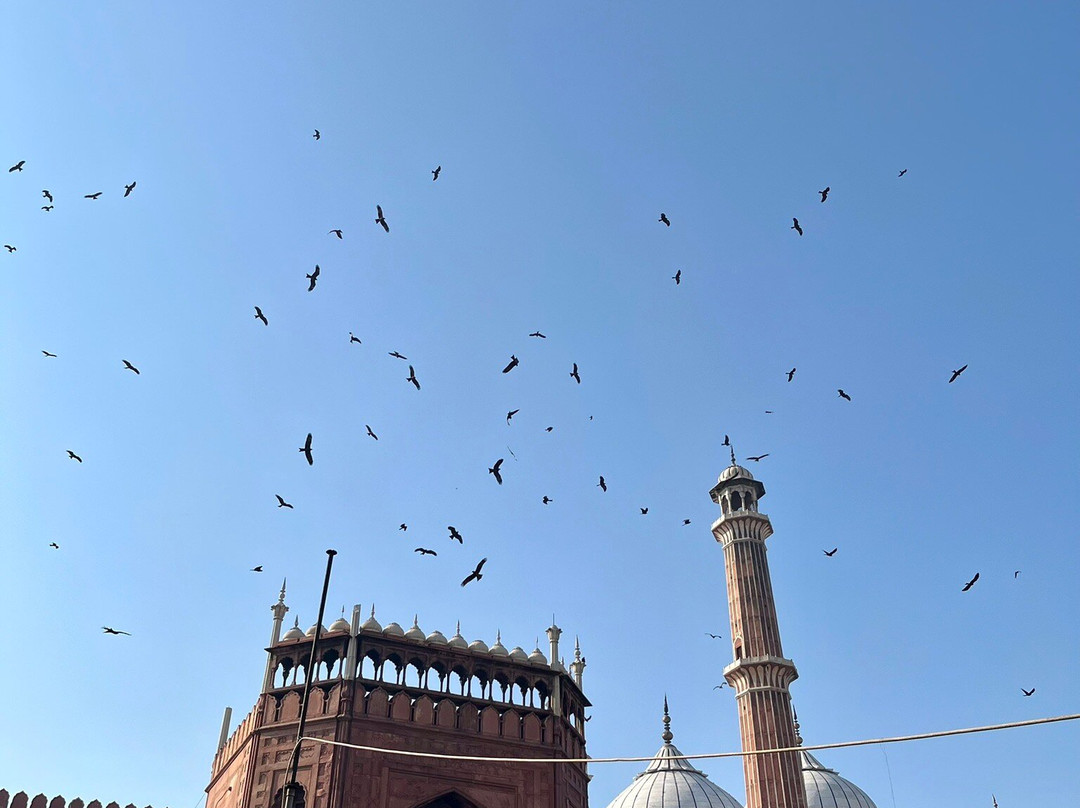 Driver India By Yogi Private Tours-焦特布尔必去景点